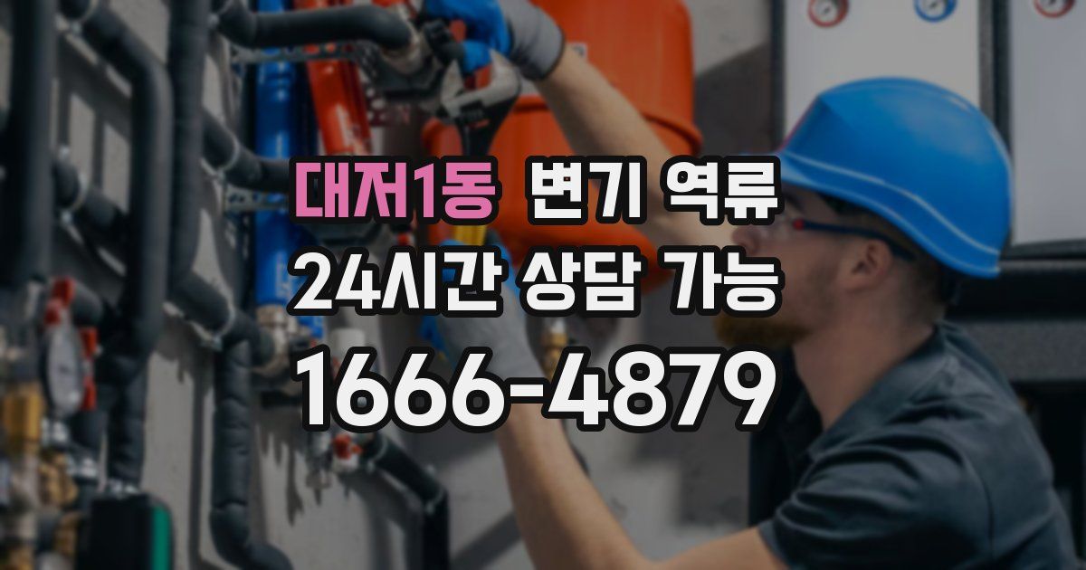 대저1동 변기 역류