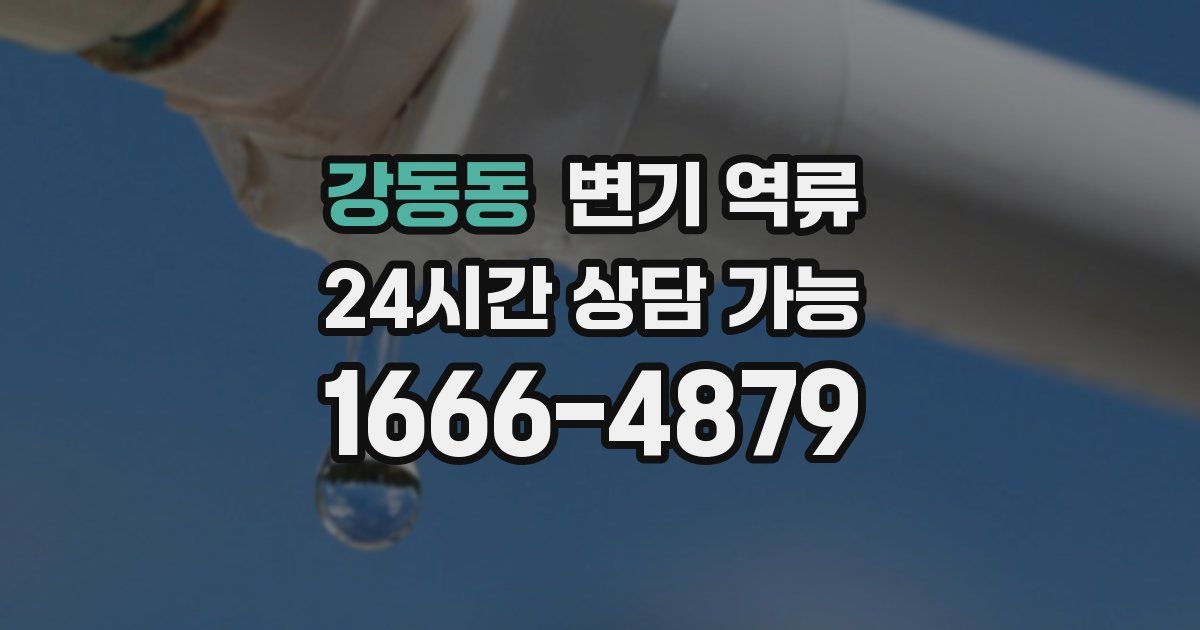 강동동 변기 역류