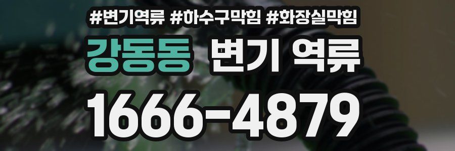 강동동 변기 역류