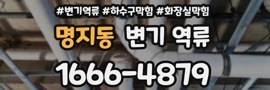 명지동 변기 역류