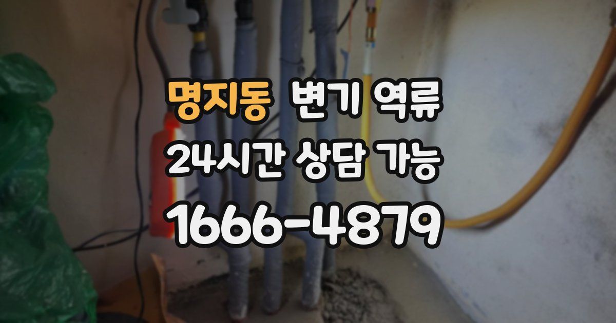 명지동 변기 역류