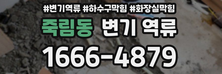 죽림동 변기 역류