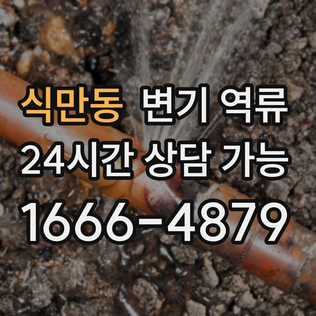 식만동 변기 역류 장갑·마스크를 꼭 써야 하는 이유