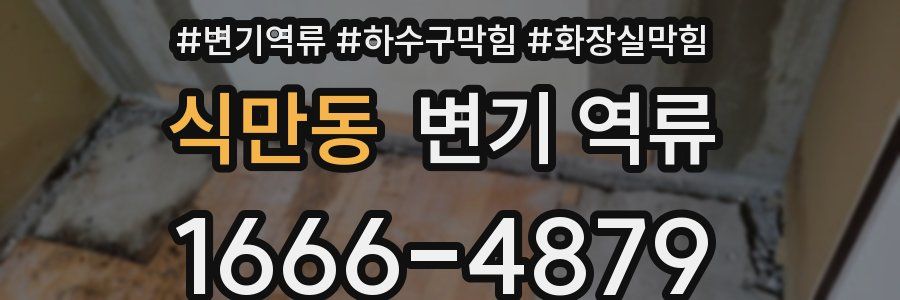 식만동 변기 역류