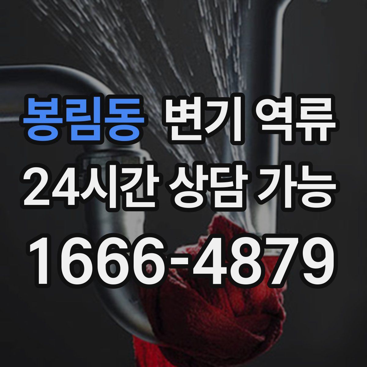 봉림동 변기 역류