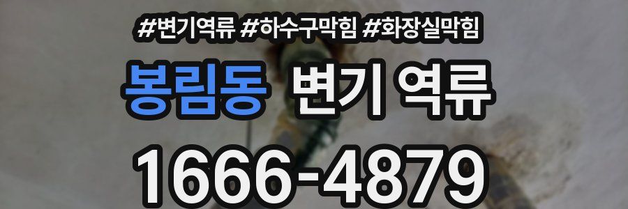 봉림동 변기 역류