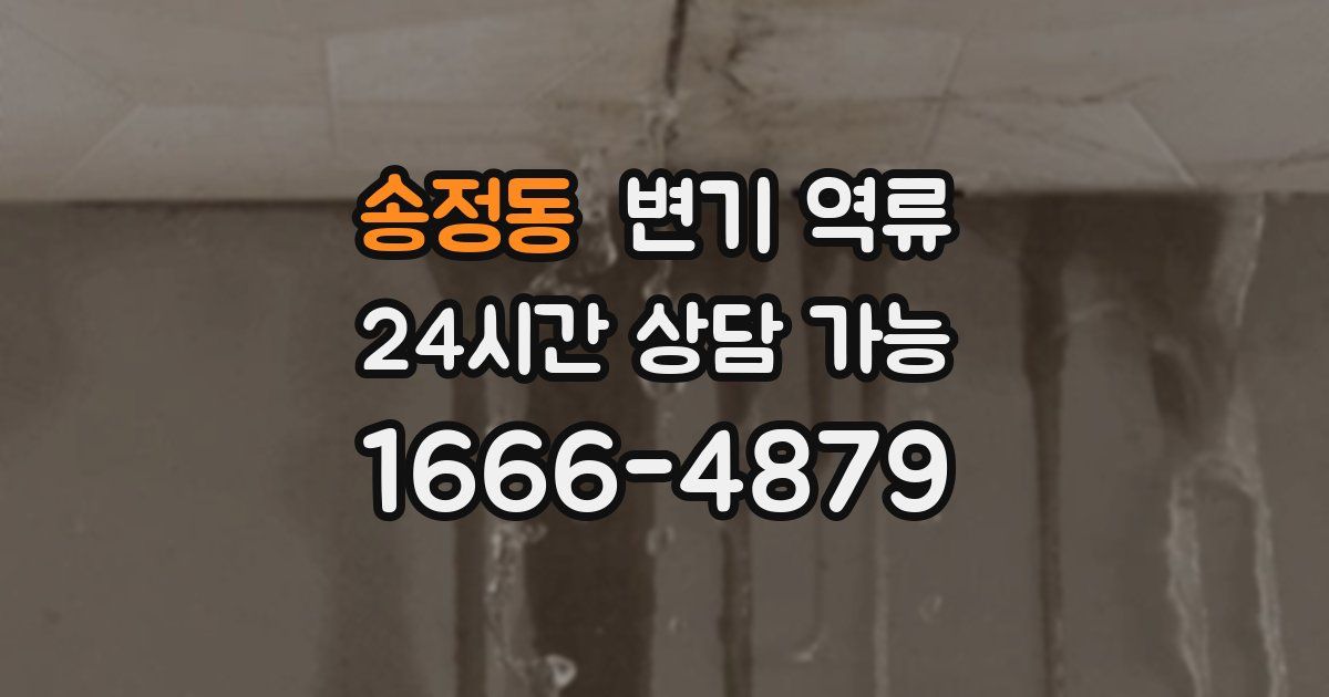 송정동 변기 역류