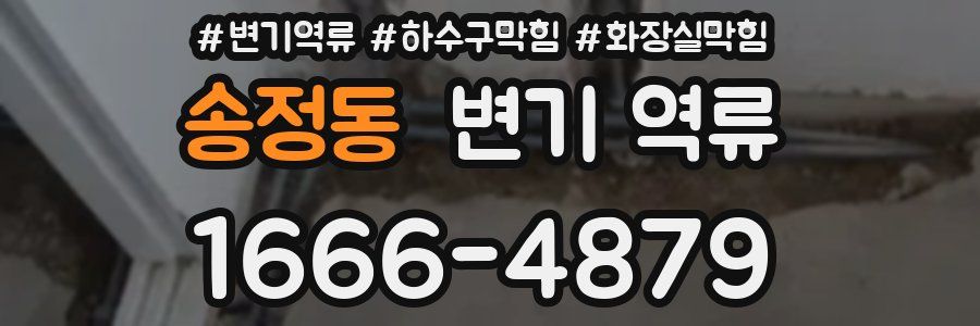 송정동 변기 역류