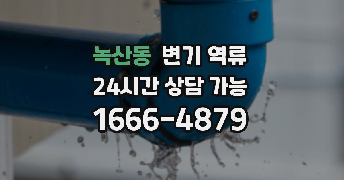 녹산동 변기 역류