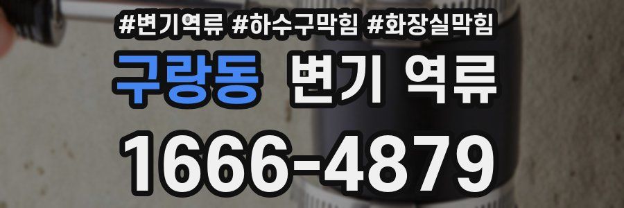 구랑동 변기 역류