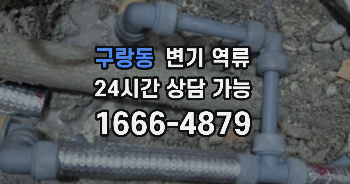 구랑동 변기 역류