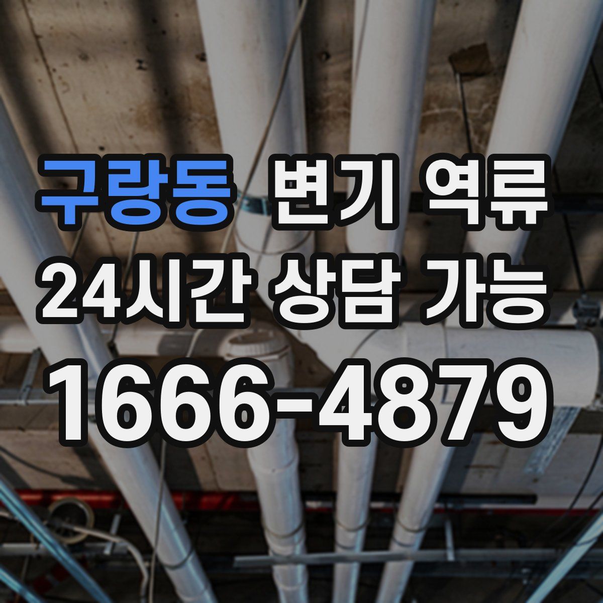 구랑동 변기 역류