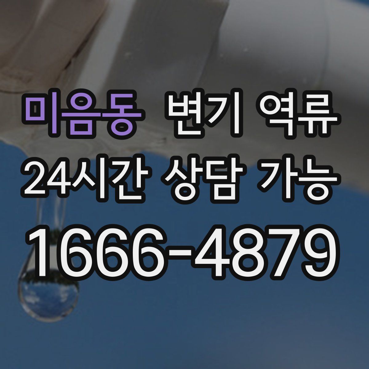 미음동 변기 역류