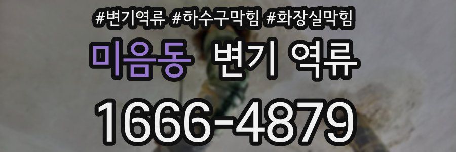 미음동 변기 역류