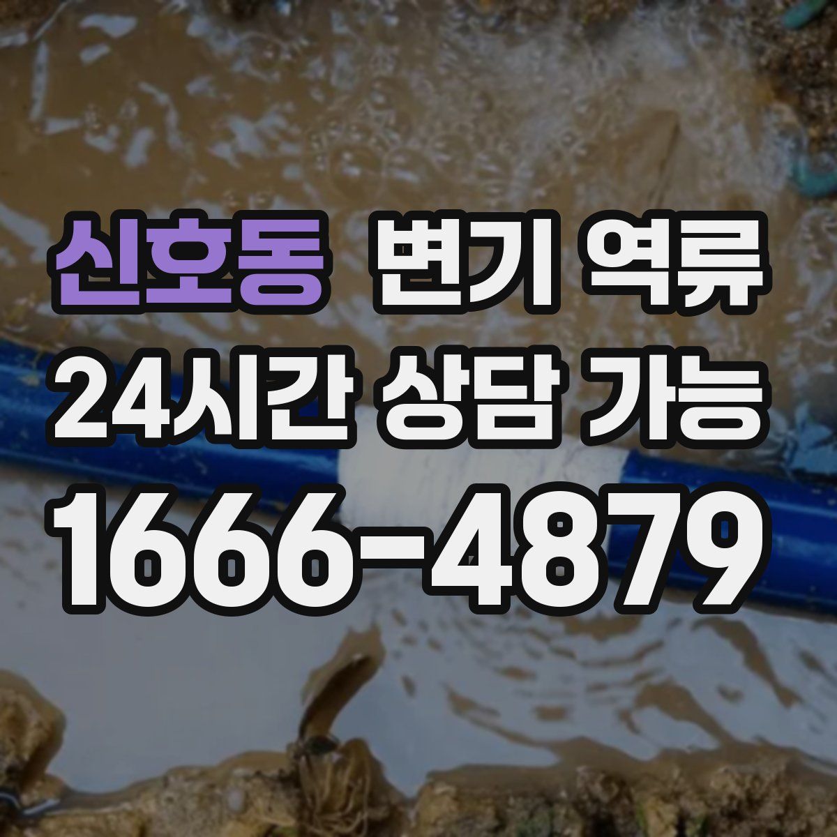 신호동 변기 역류