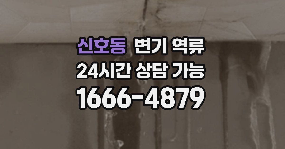 신호동 변기 역류