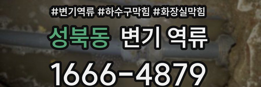 성북동 변기 역류
