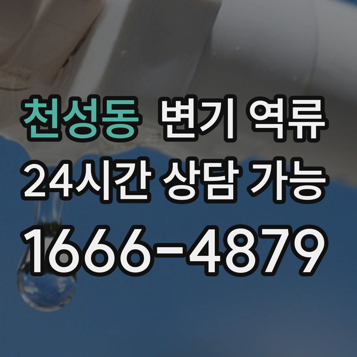 천성동 변기 역류