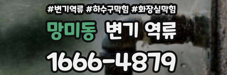 망미동 변기 역류