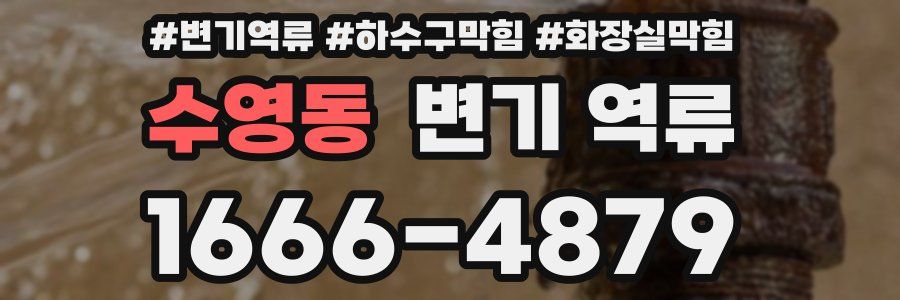 수영동 변기 역류