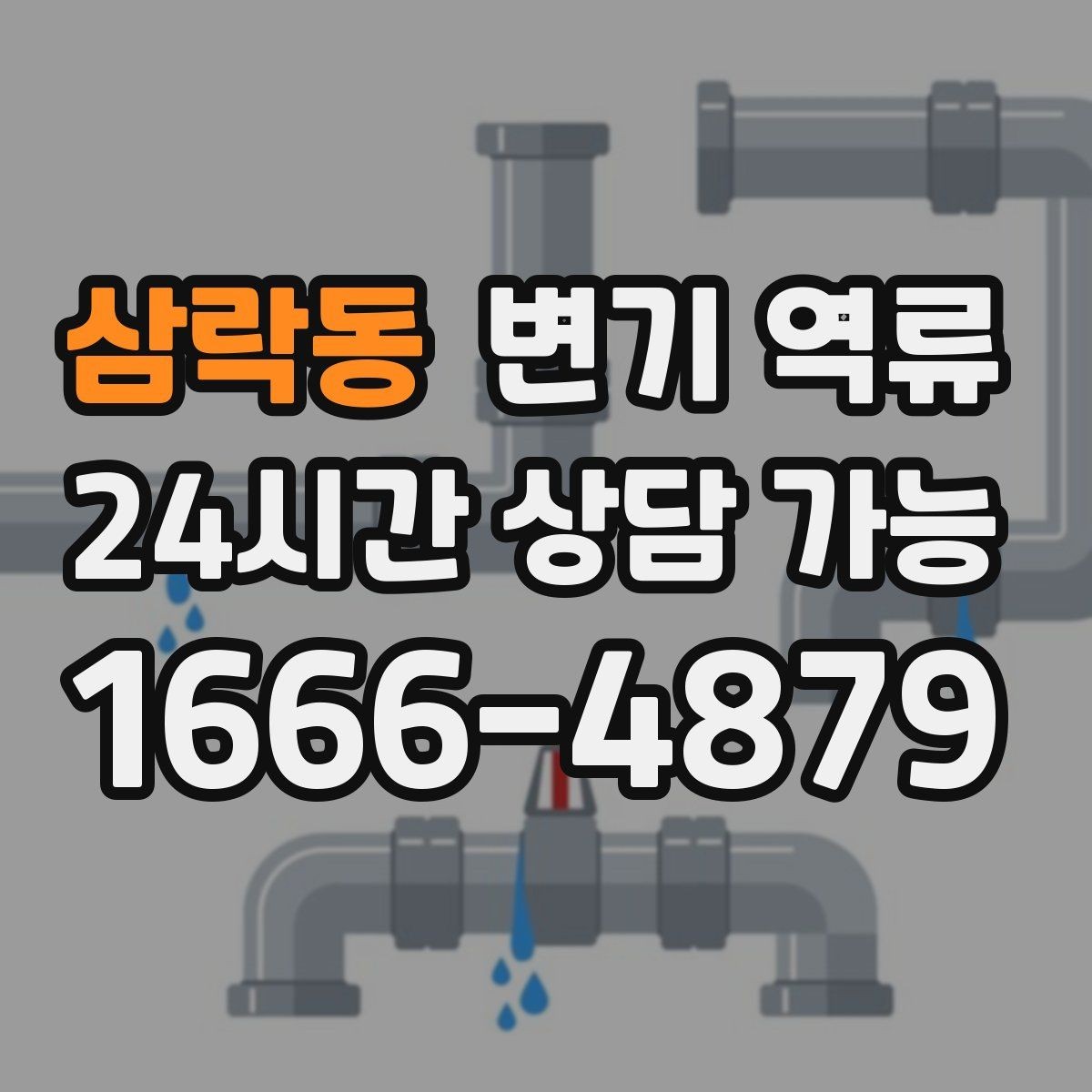 삼락동 변기 역류 반려동물 모래가 들어갔을 때 대처