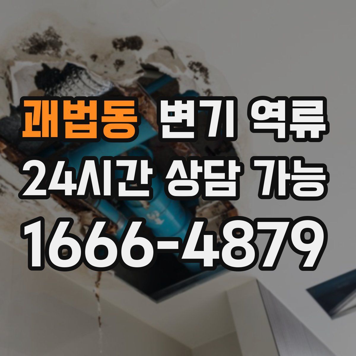 괘법동 변기 역류