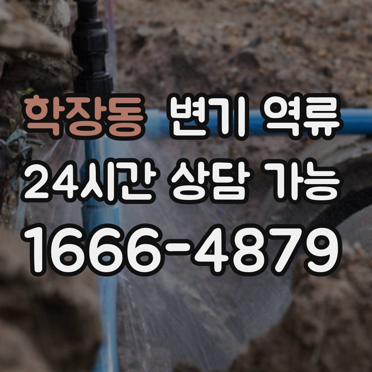 학장동 변기 역류