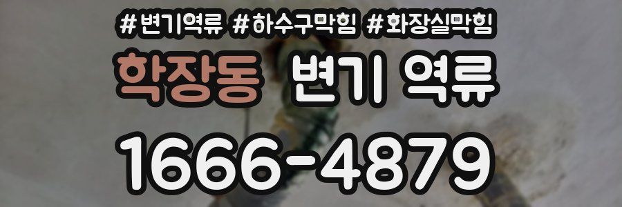 학장동 변기 역류