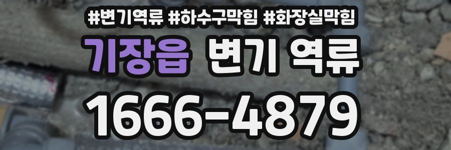 기장읍 변기 역류