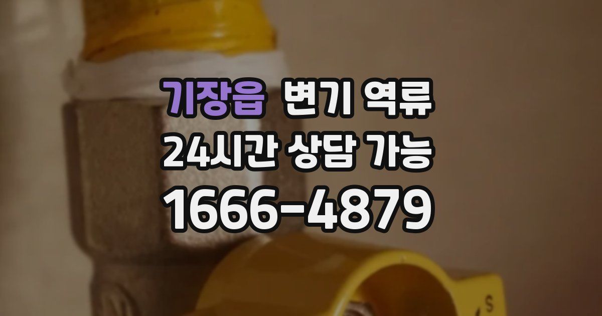 기장읍 변기 역류