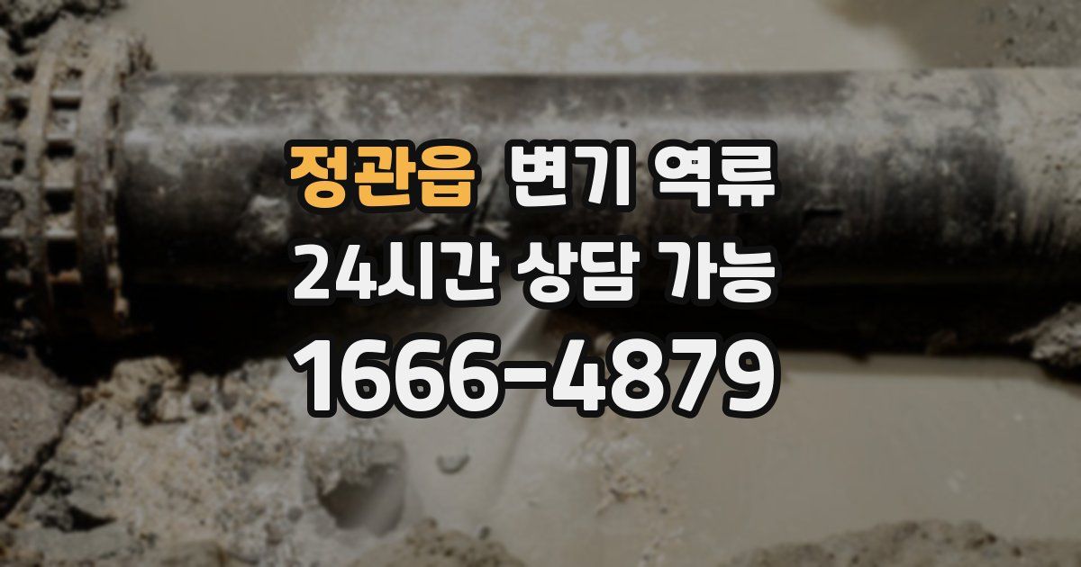 정관읍 변기 역류