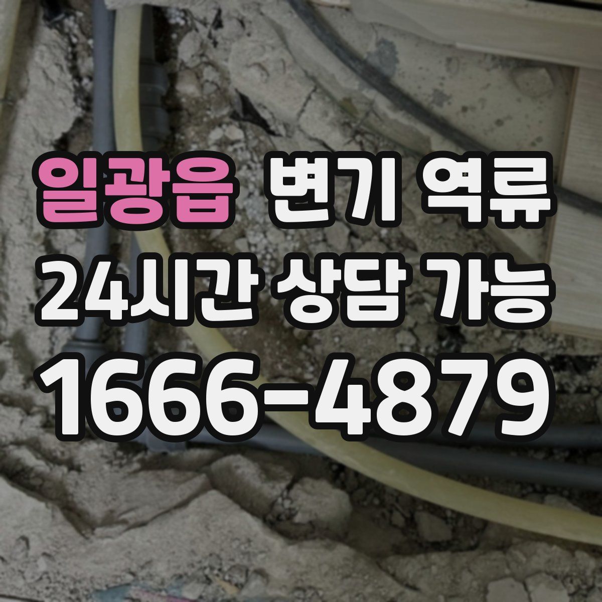 일광읍 변기 역류