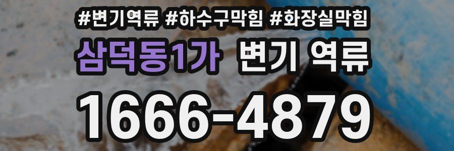 삼덕동1가 변기 역류