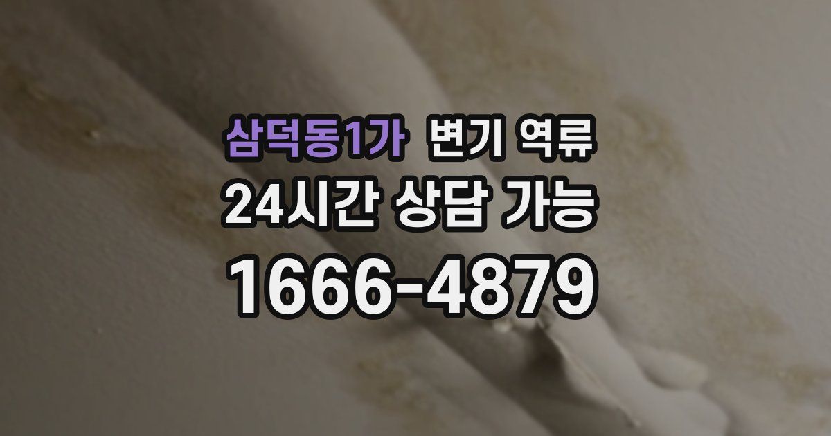 삼덕동1가 변기 역류