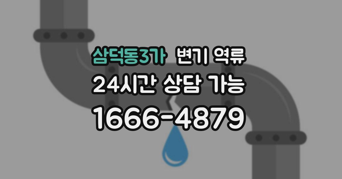 삼덕동3가 변기 역류