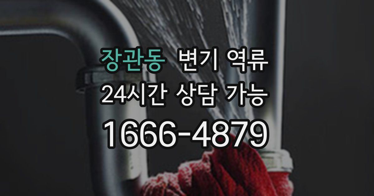장관동 변기 역류