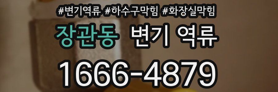 장관동 변기 역류