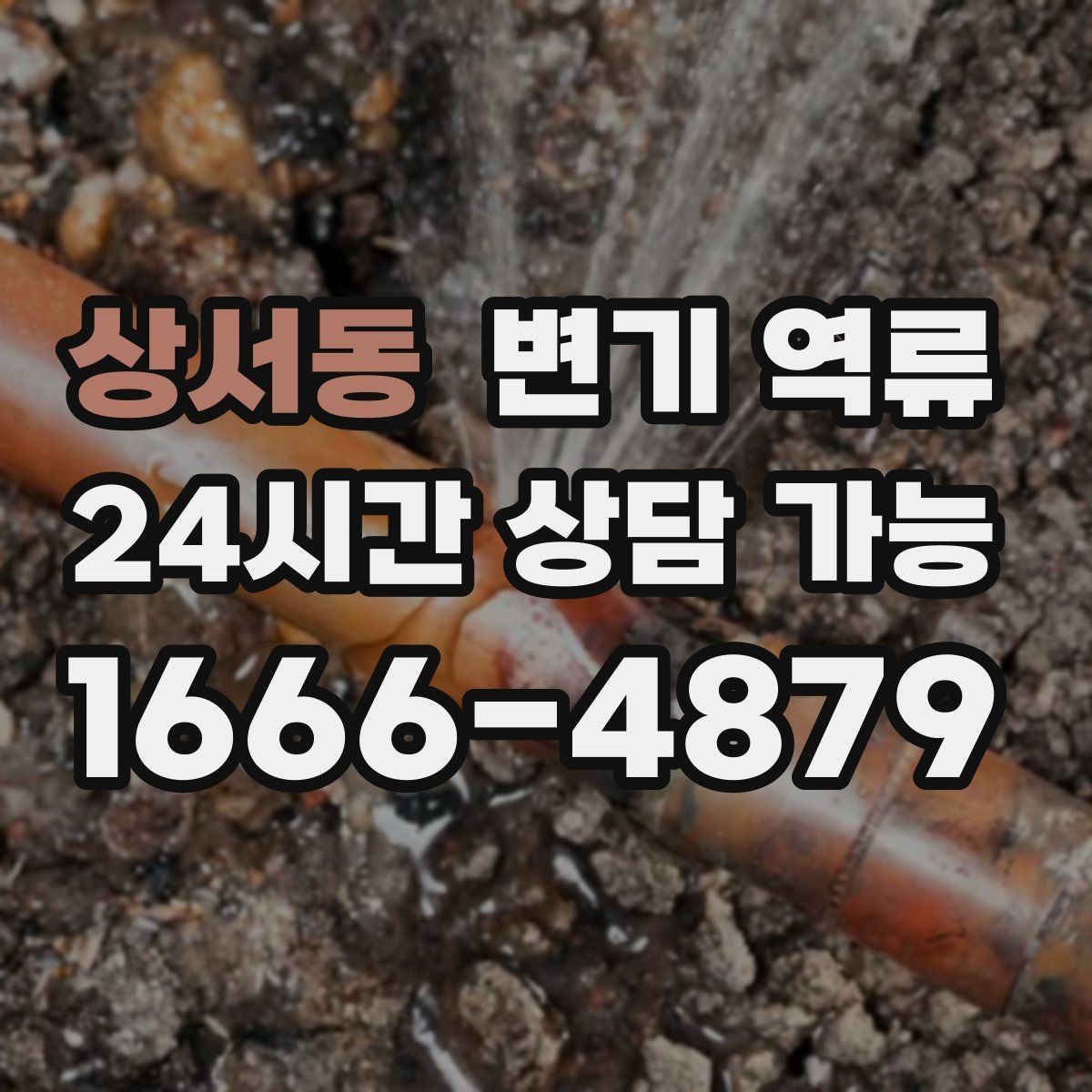 상서동 변기 역류 아파트에서 공용 수직관 문제일 때 신호