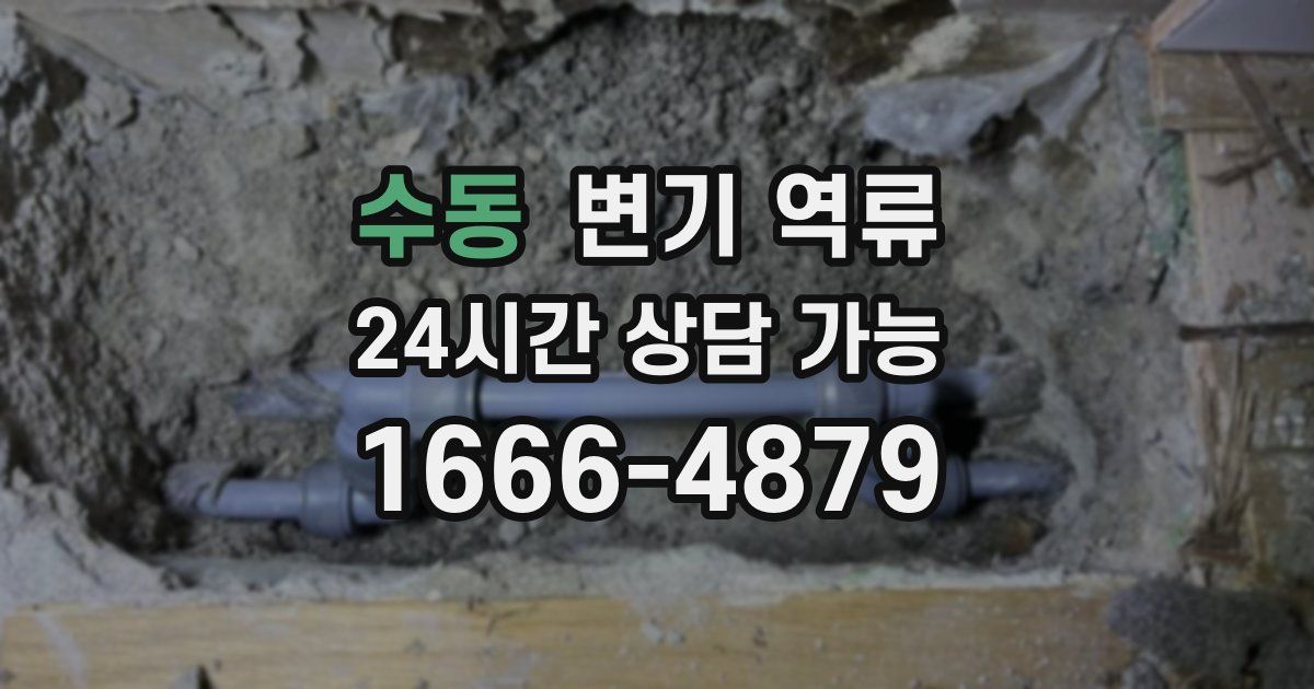 수동 변기 역류