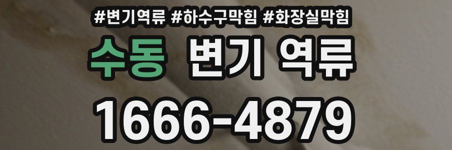 수동 변기 역류