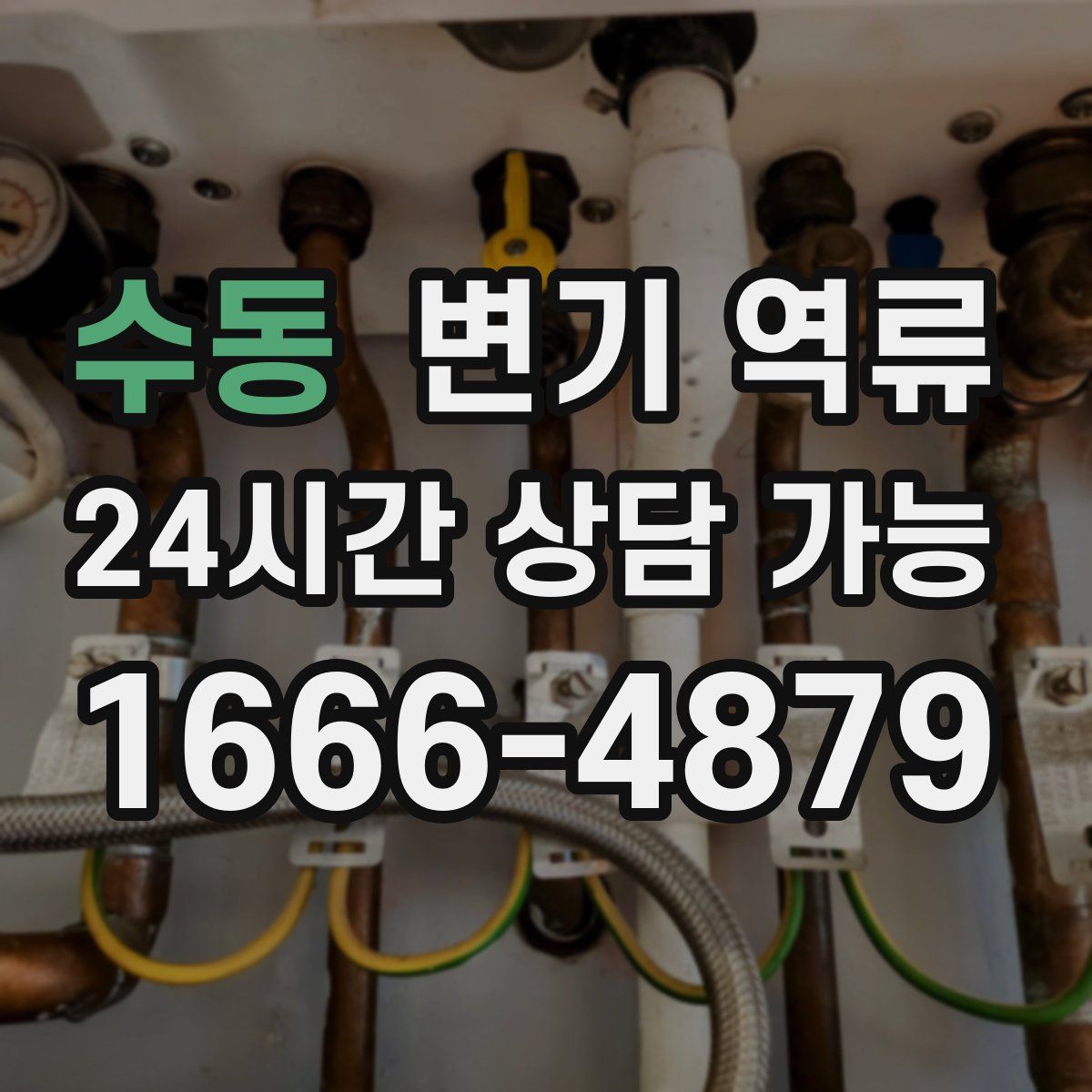 수동 변기 역류