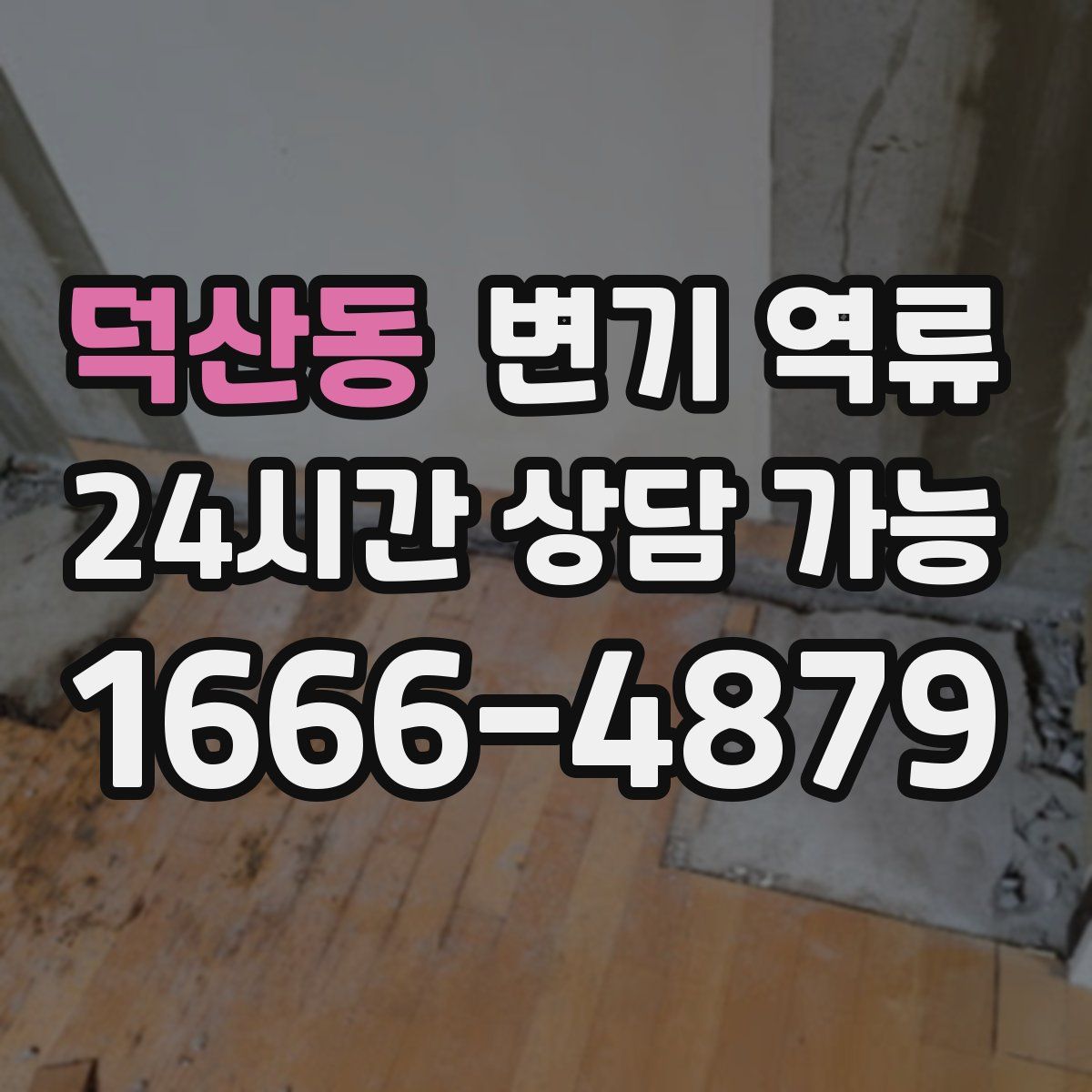 덕산동 변기 역류