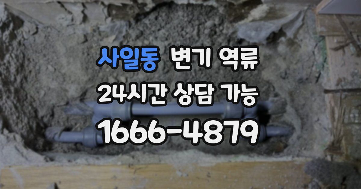 사일동 변기 역류