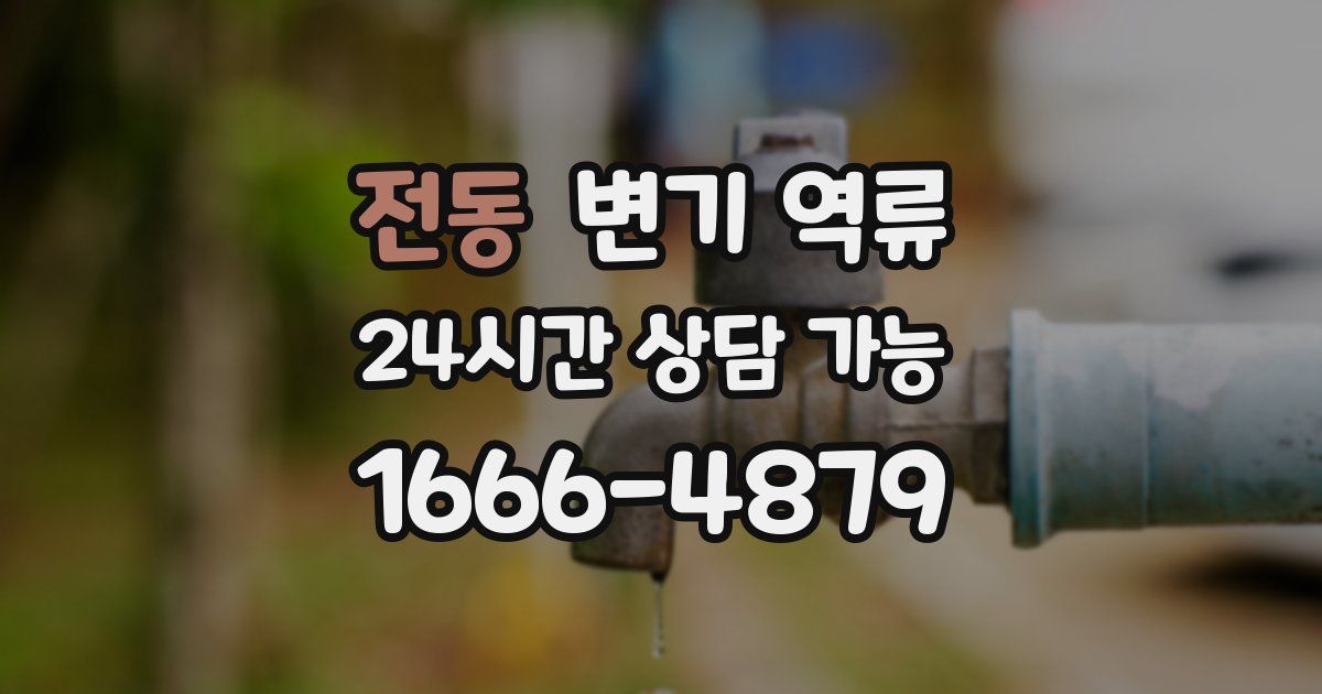 전동 변기 역류