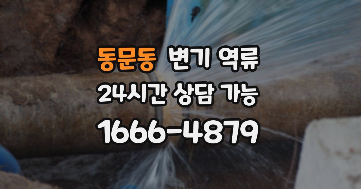 동문동 변기 역류