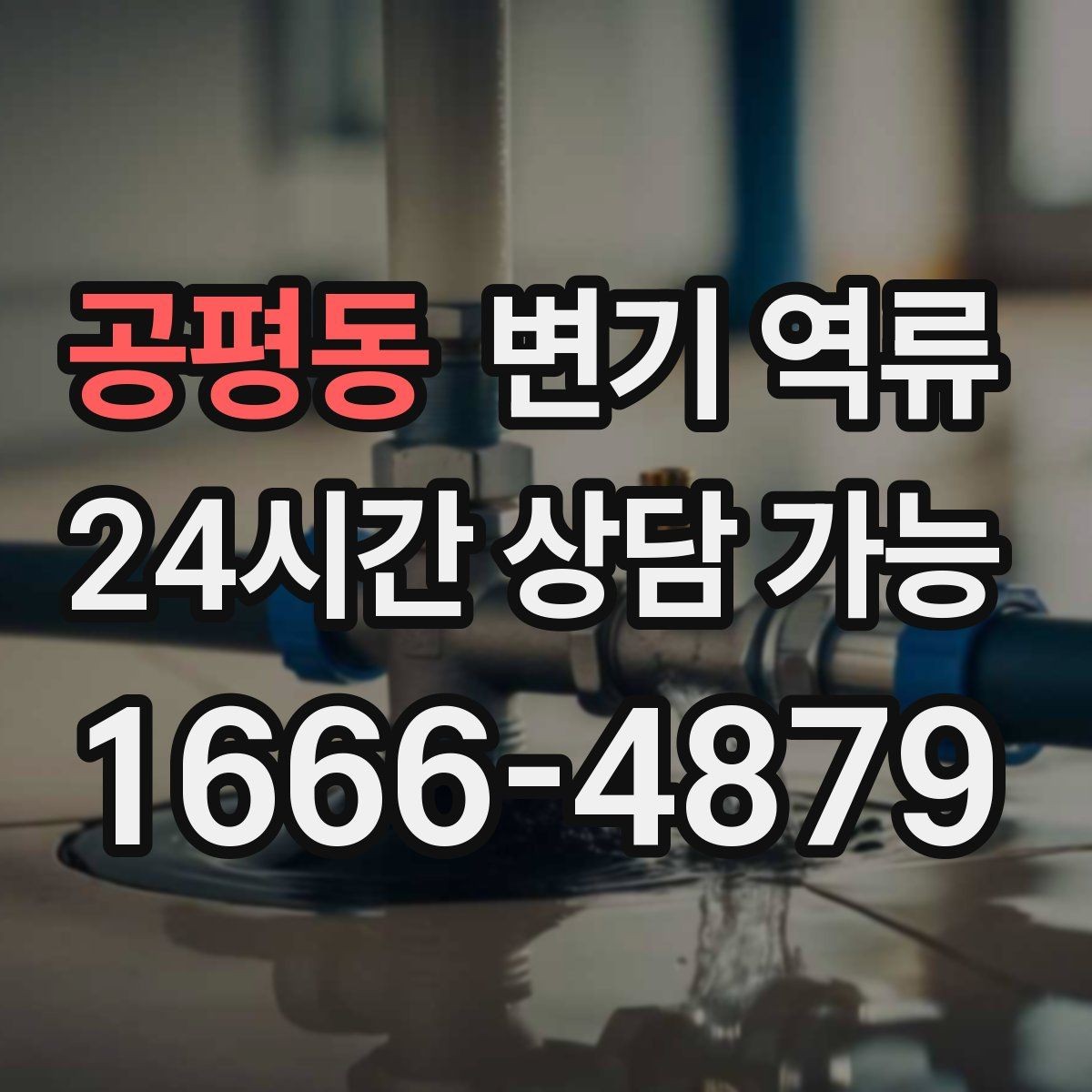 공평동 변기 역류 욕실 문턱을 넘기기 전 해야 하는 임시 조치