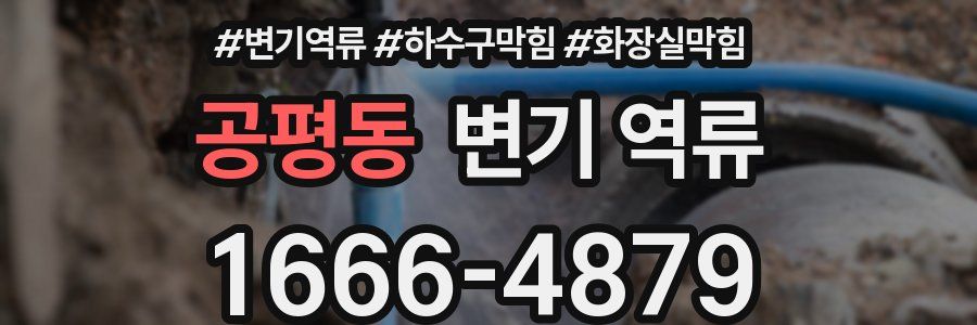 공평동 변기 역류