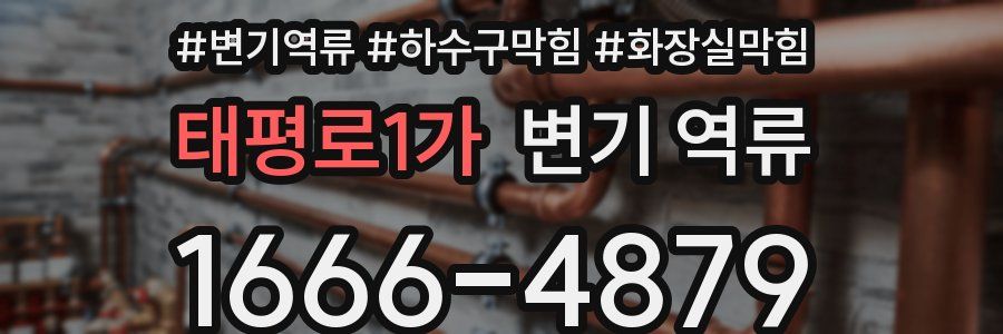태평로1가 변기 역류