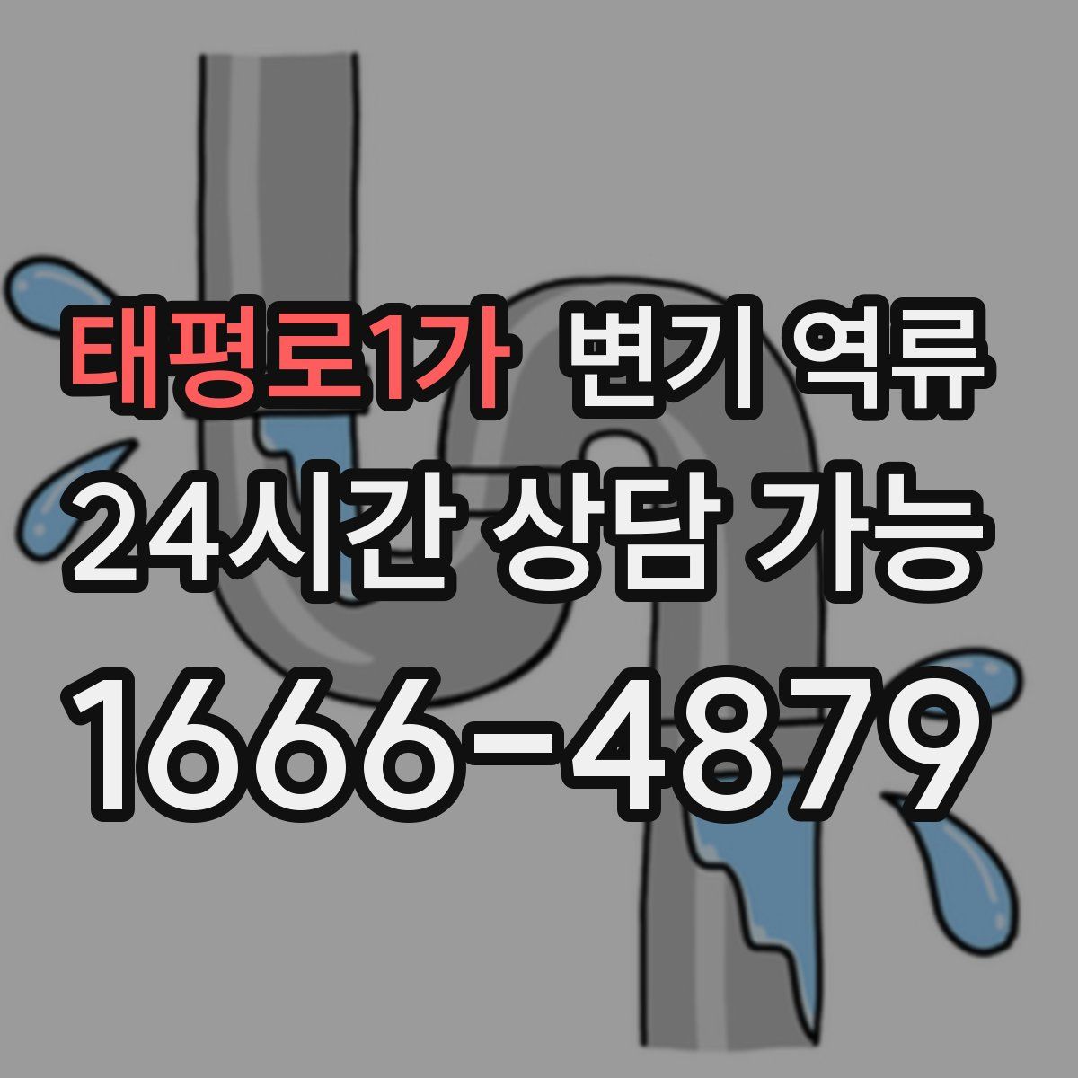 태평로1가 변기 역류