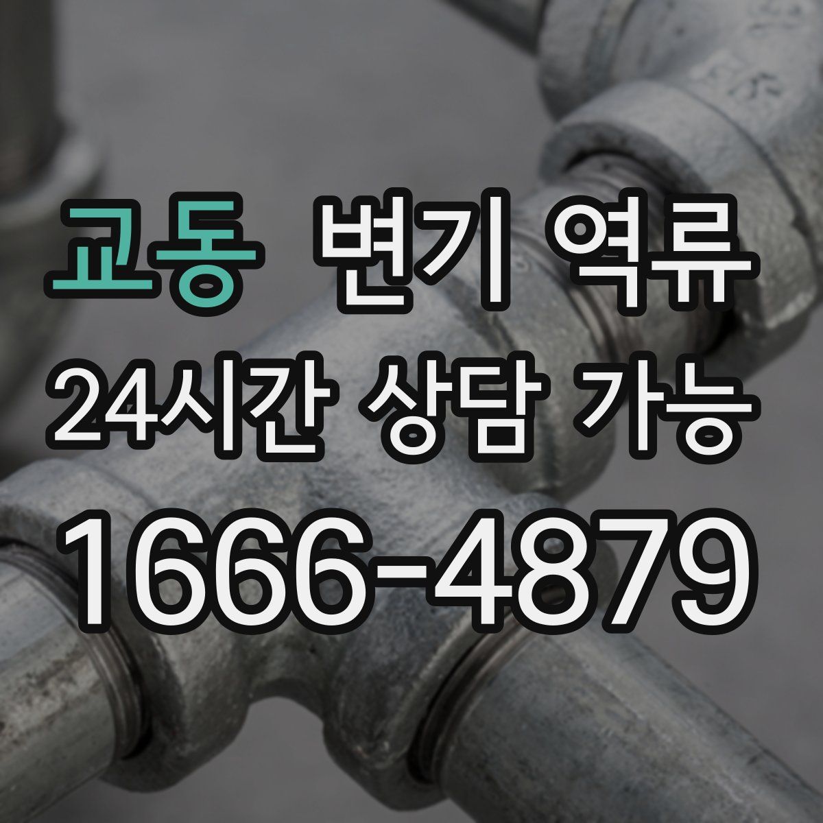 교동 변기 역류